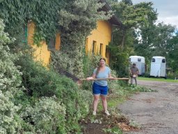 whatsapp image 2024-07-14 at 16.11.05_2b5ab1b8